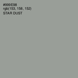 #999E98 - Star Dust Color Image